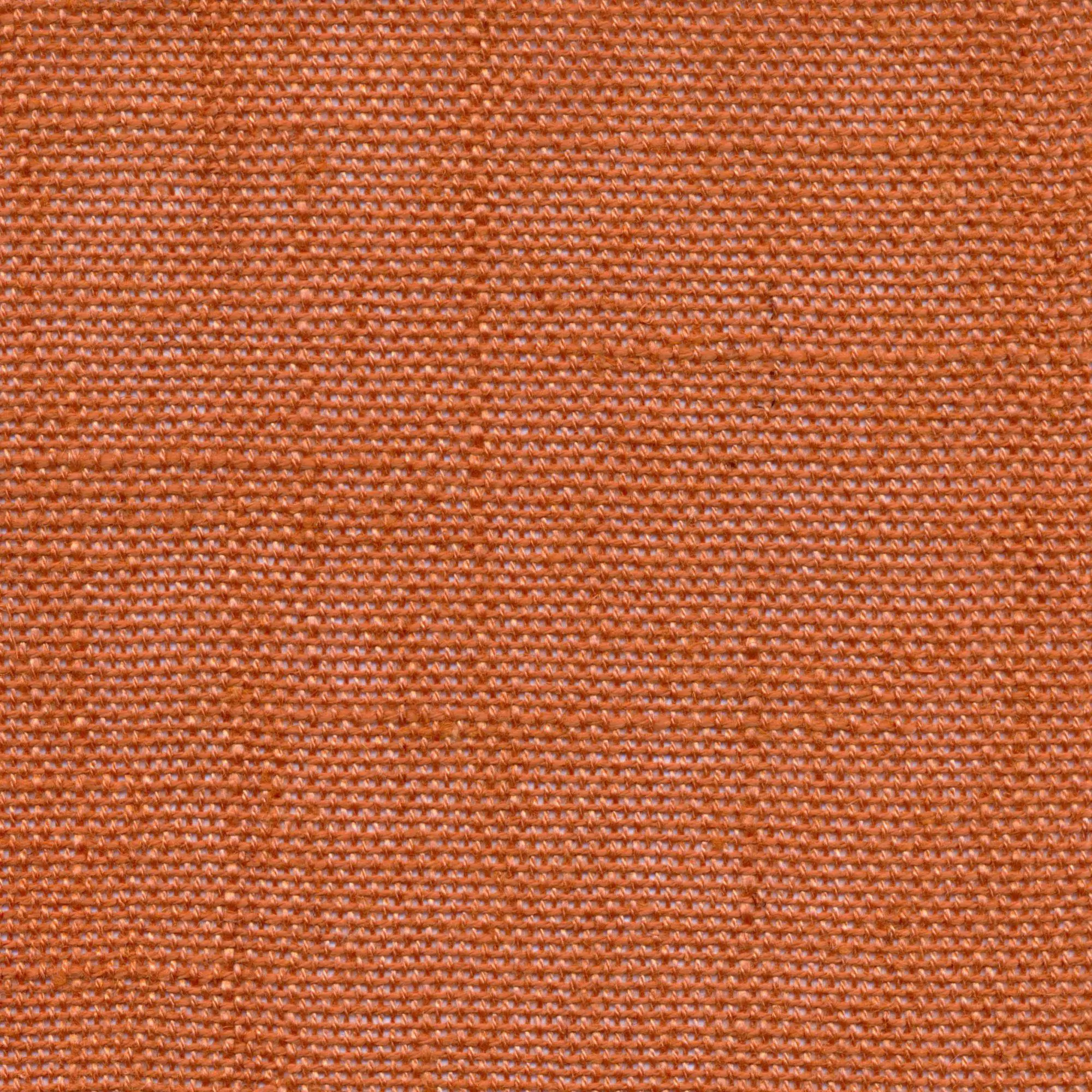 Mango 201 | Delicate