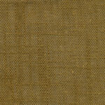 Butternut 360 | Delicate