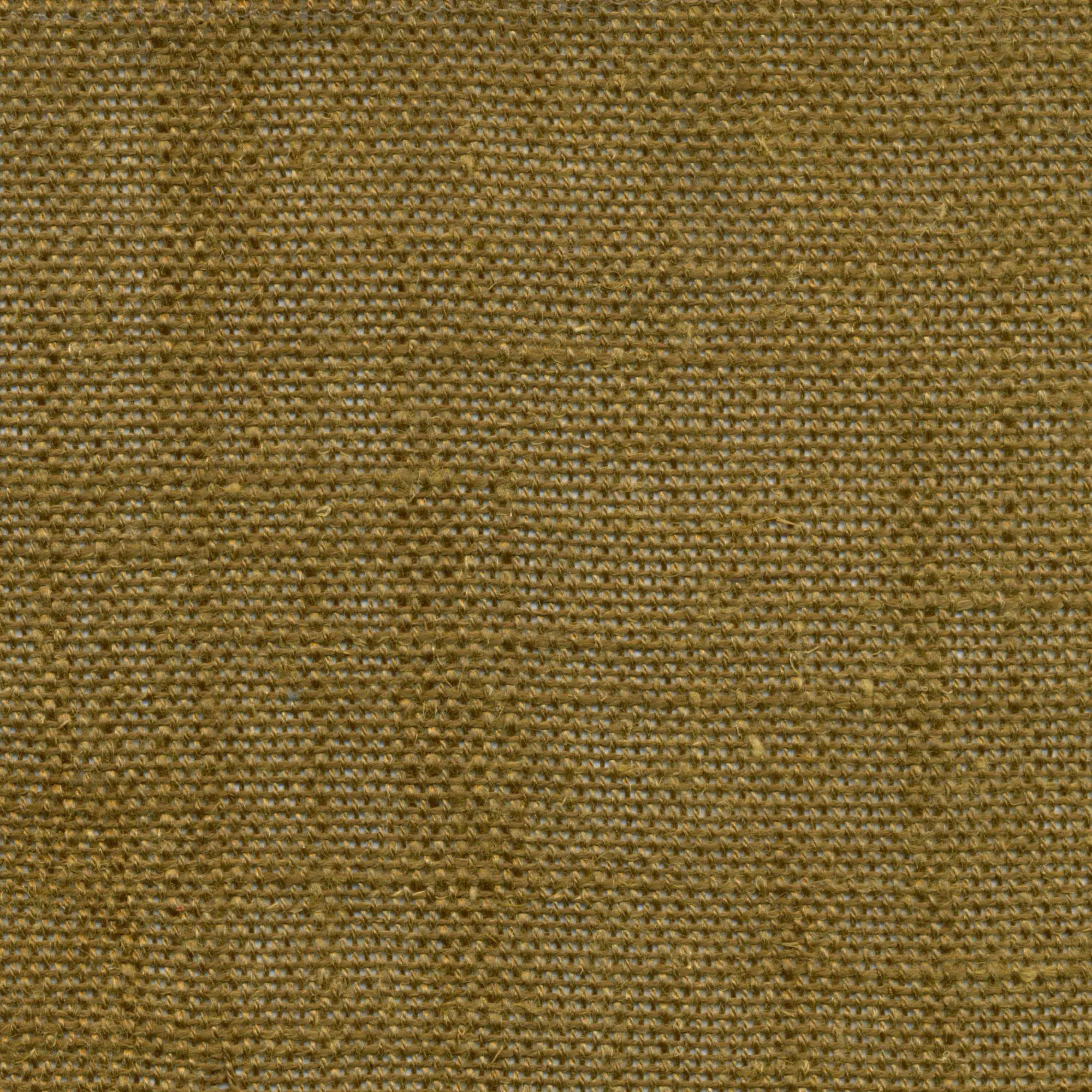 Butternut 360 | Delicate