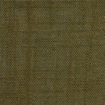 Military Olive 361 | Delicate