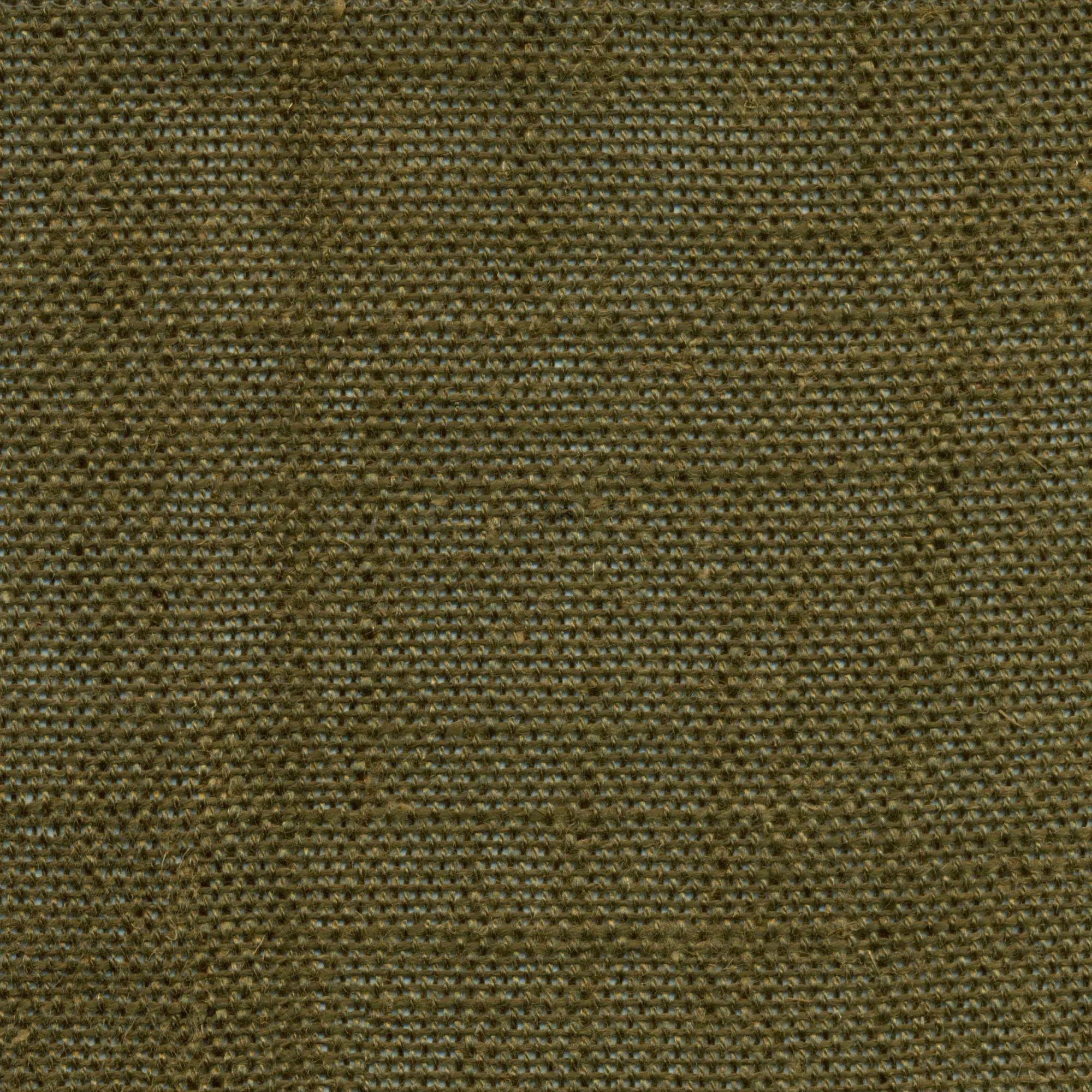 Military Olive 361 | Delicate