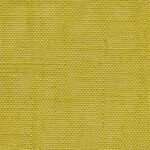 Citronelle 380 | Delicate