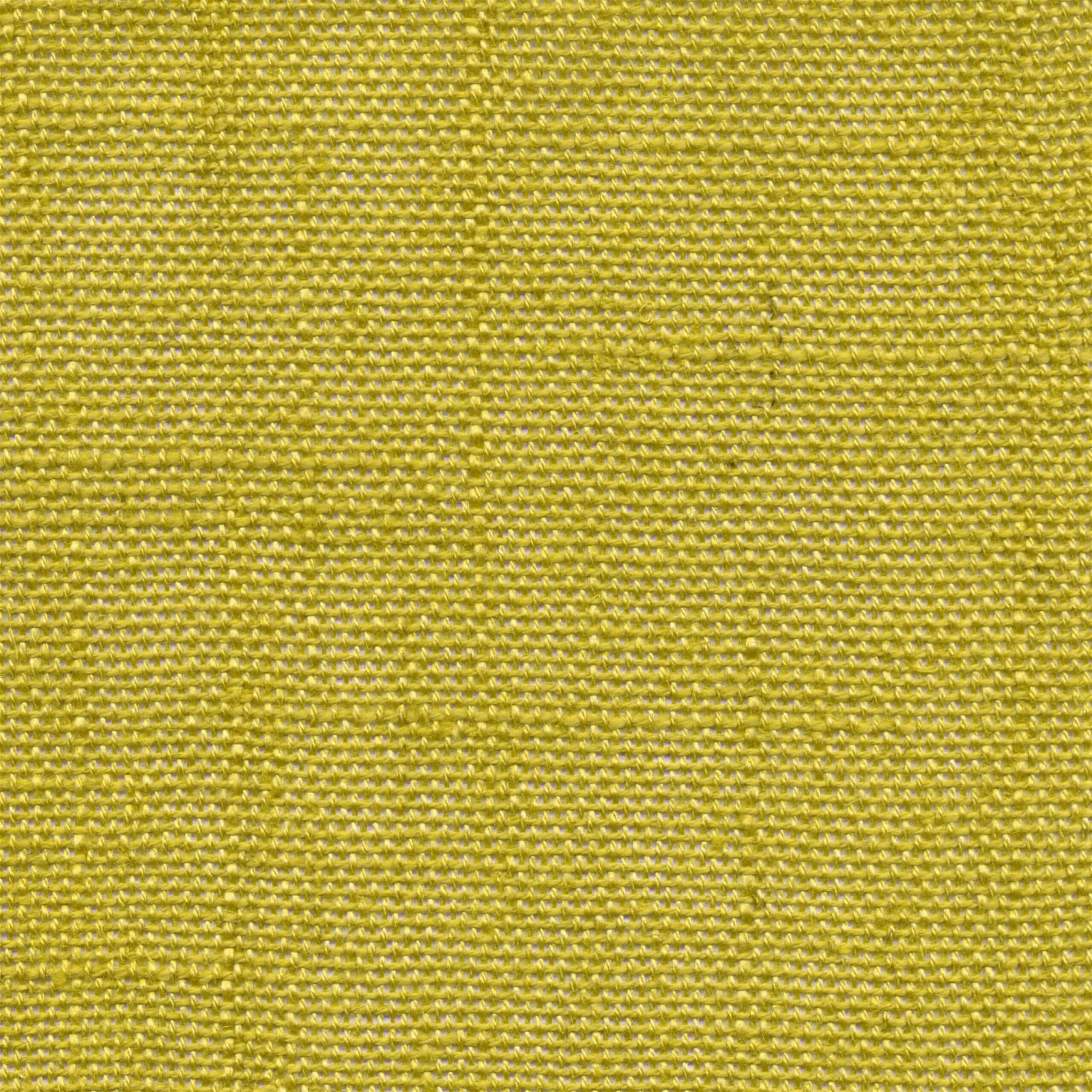 Citronelle 380 | Delicate