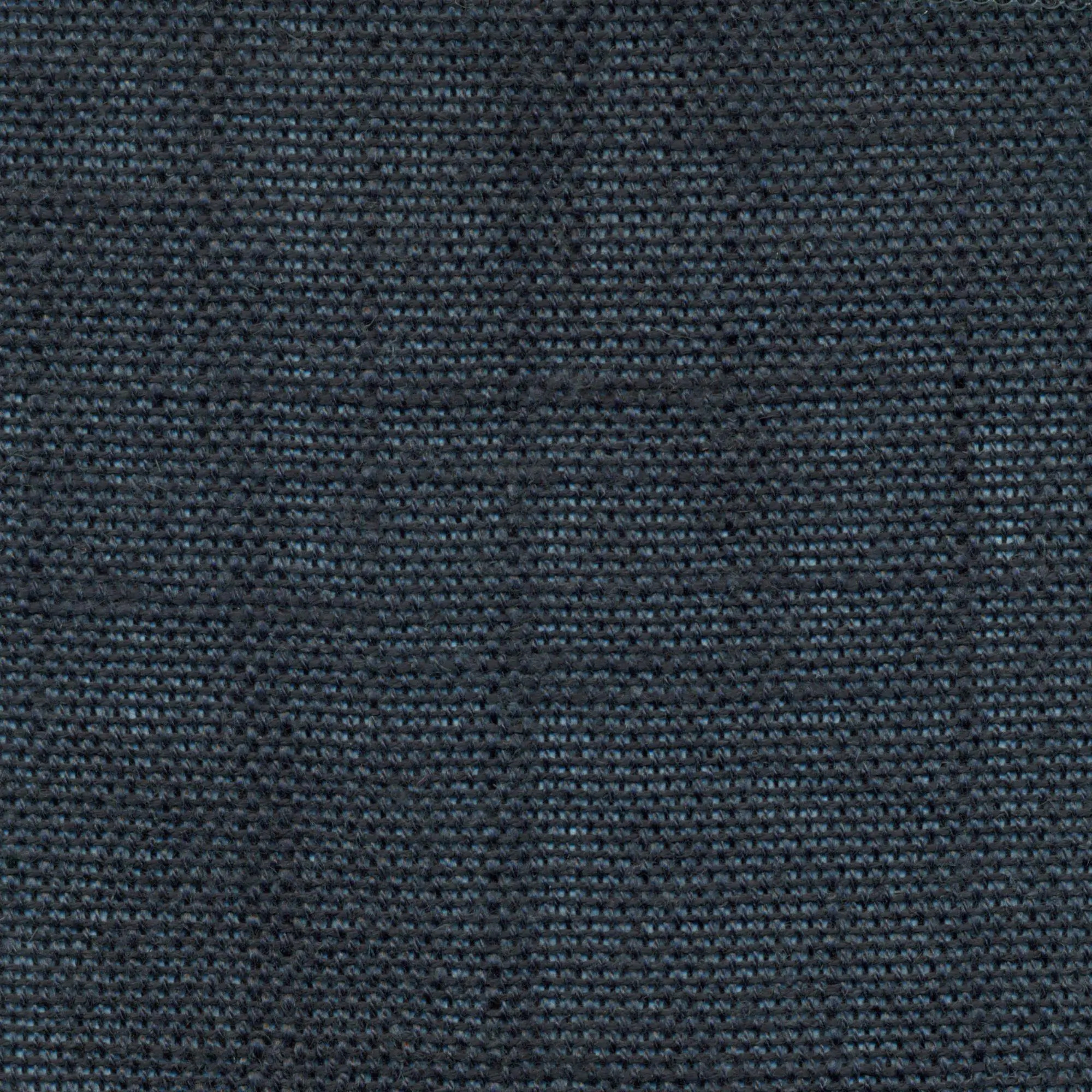 Blue Nights 411 | Delicate