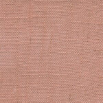 Ash Rose 510 | Delicate