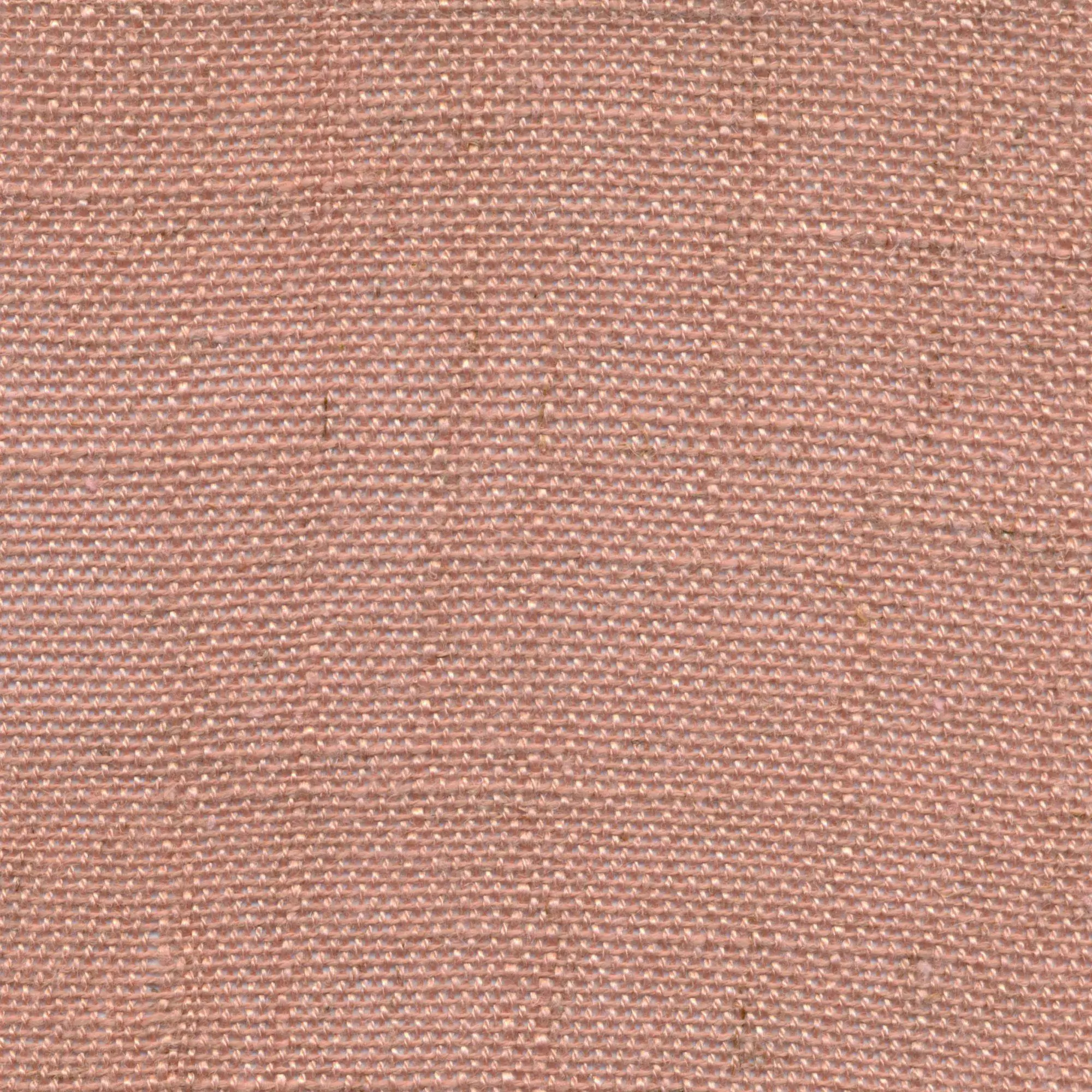 Ash Rose 510 | Delicate