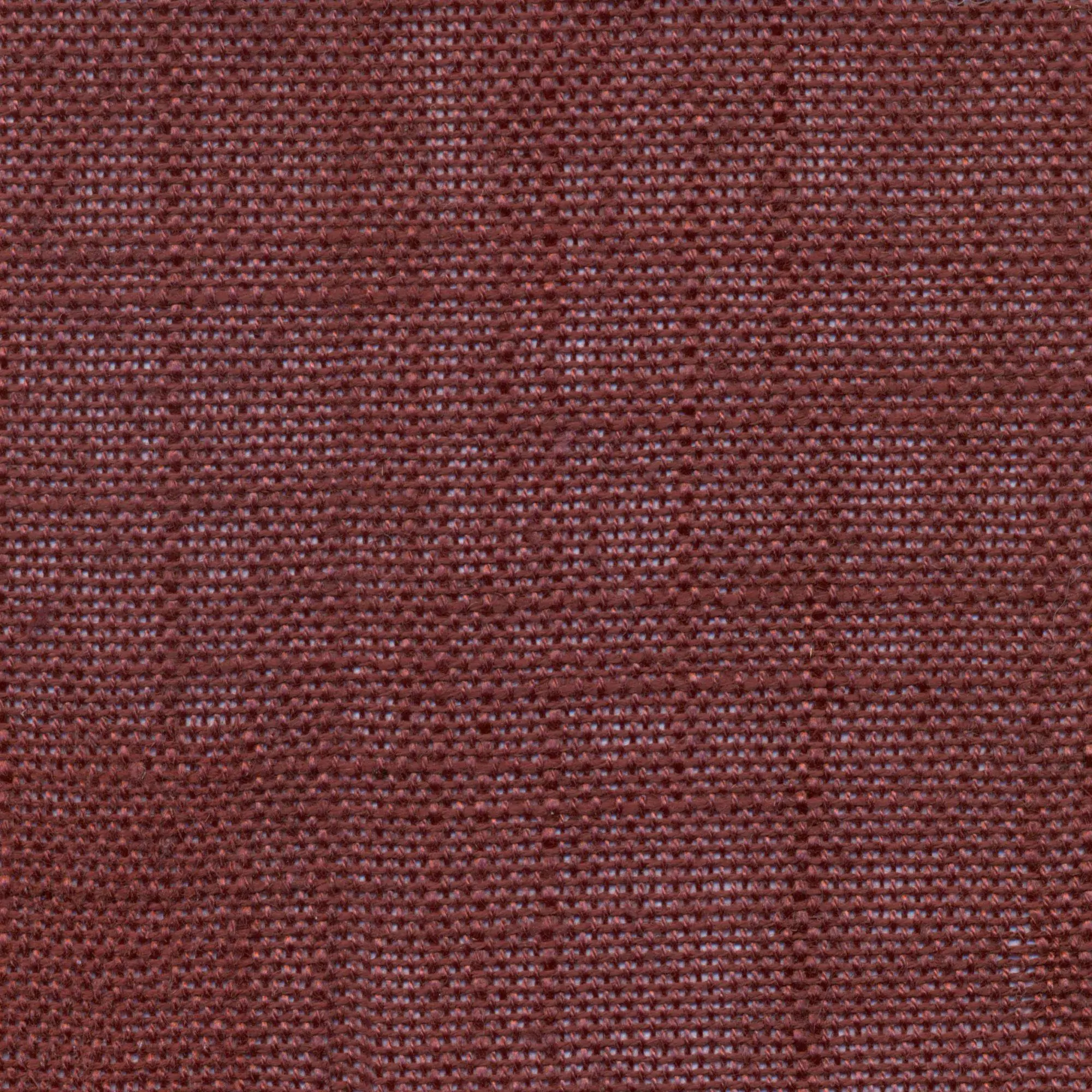 Chocolate Truffle 609 | Delicate
