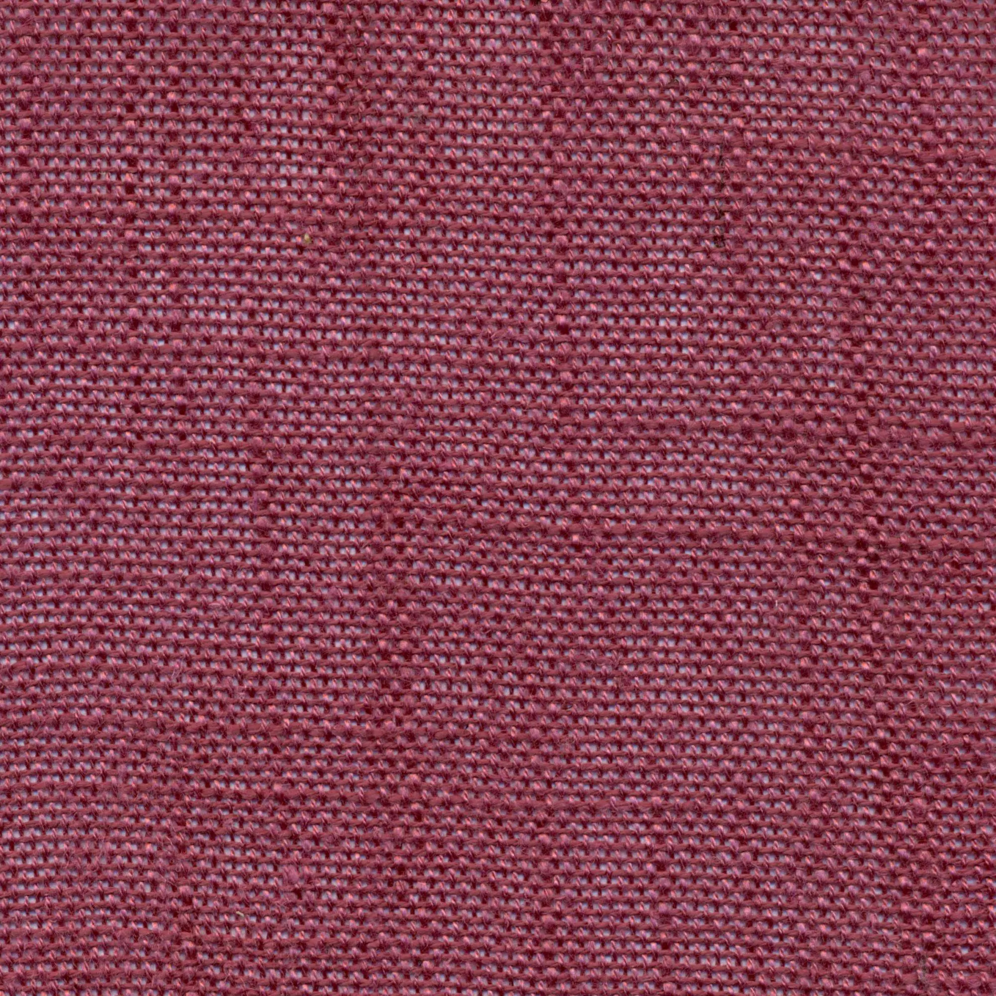Dry Rose 610 | Delicate
