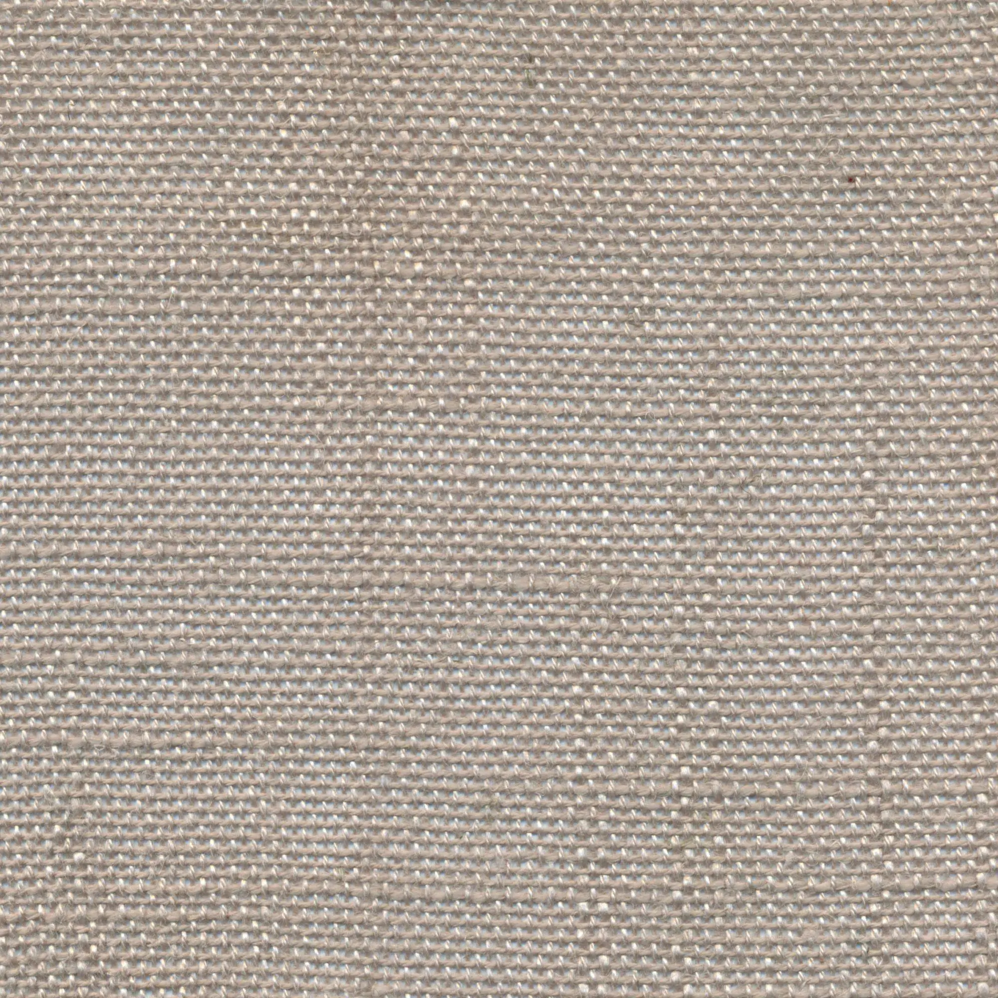 Dove 913 | Delicate