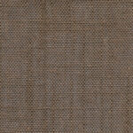 Driftwood 914 | Delicate