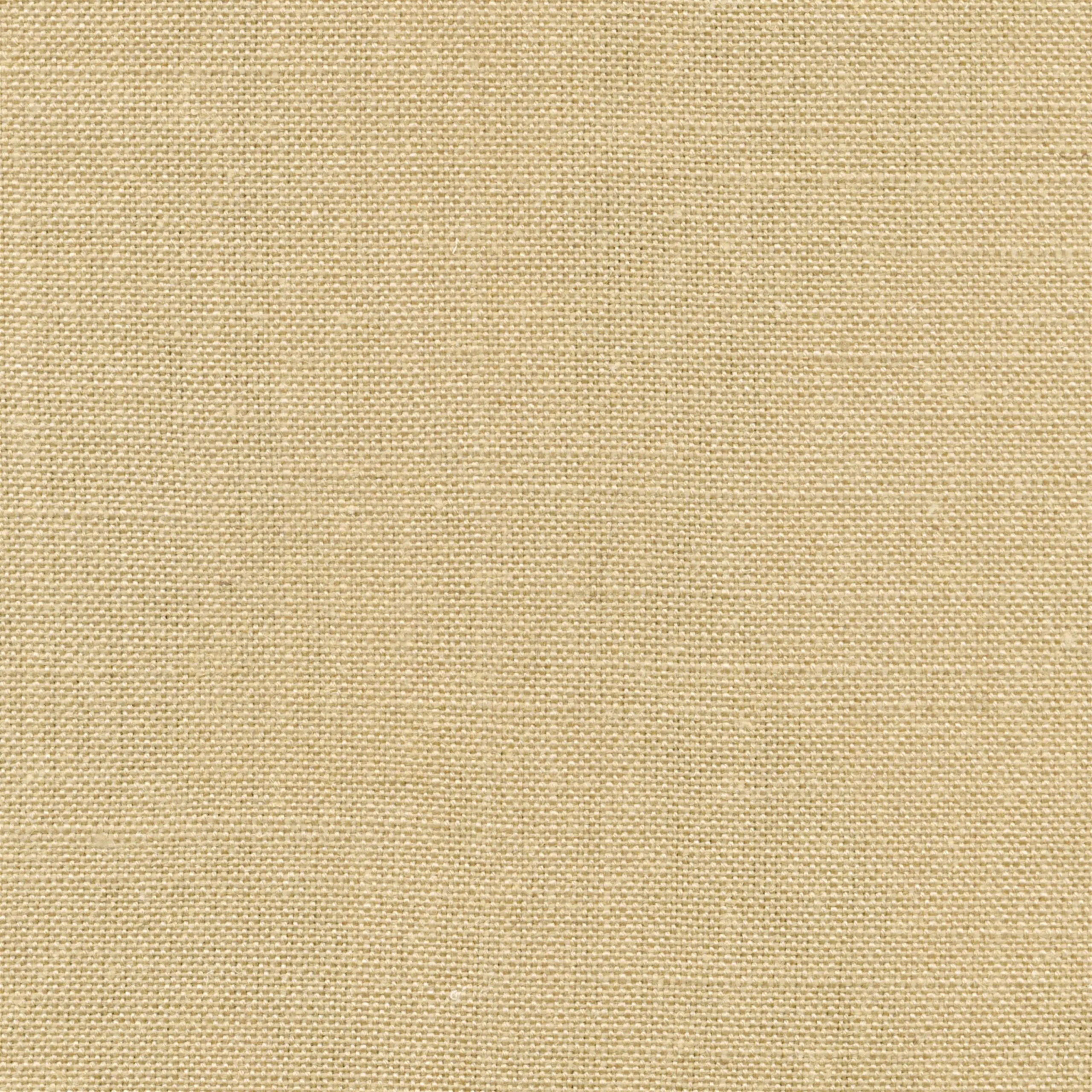 Almond Buff 031 | Delight