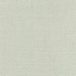 Oyster Gray 033 | Delight