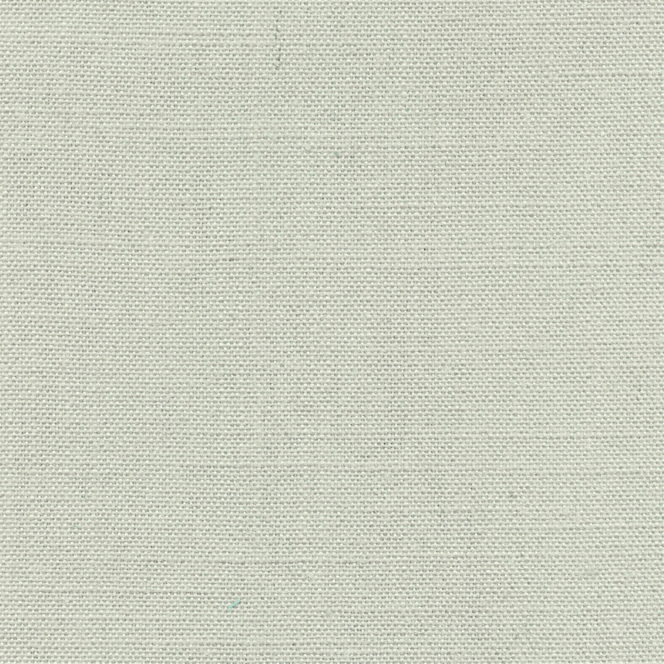 Oyster Gray 033 | Delight
