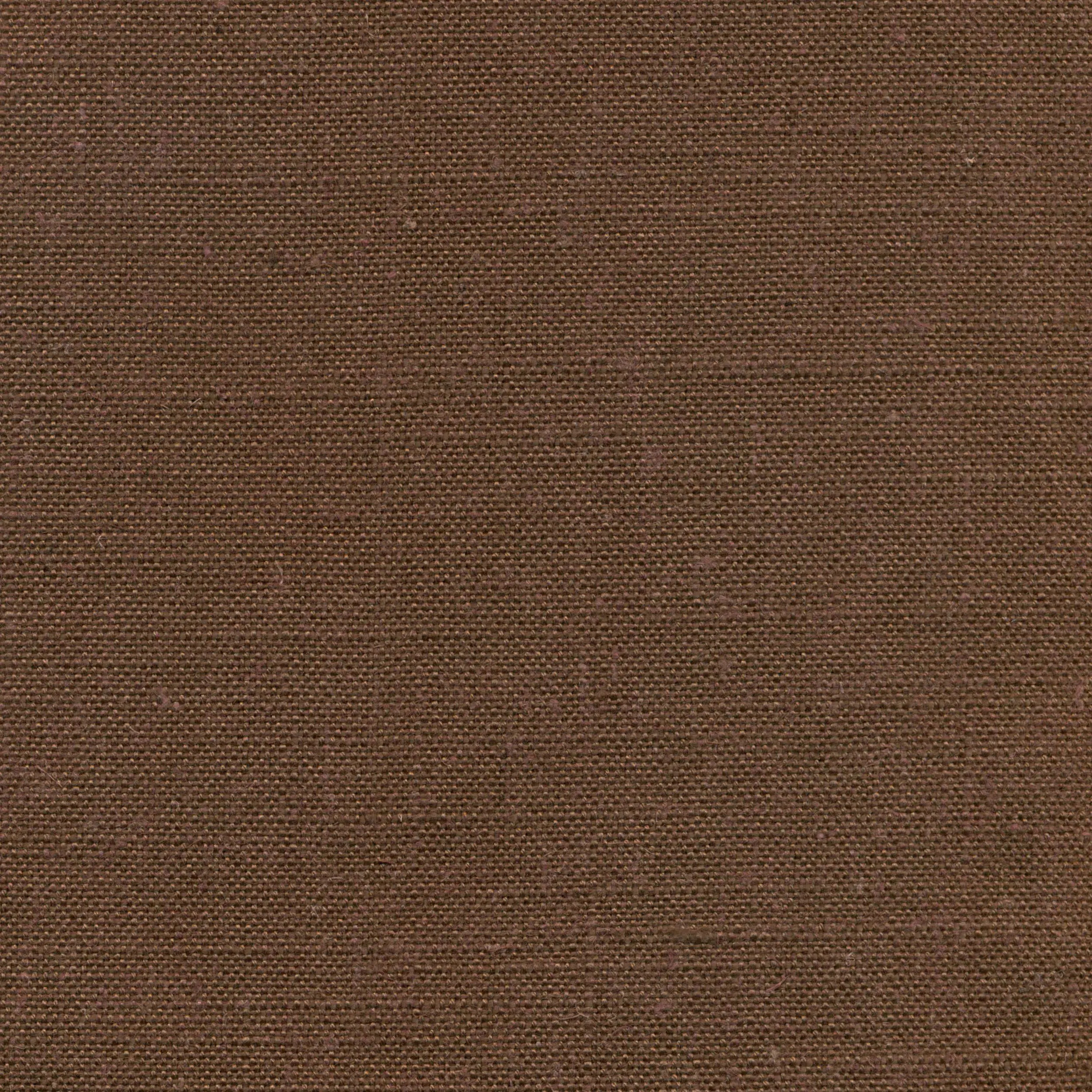 Pinecone 108 | Delight