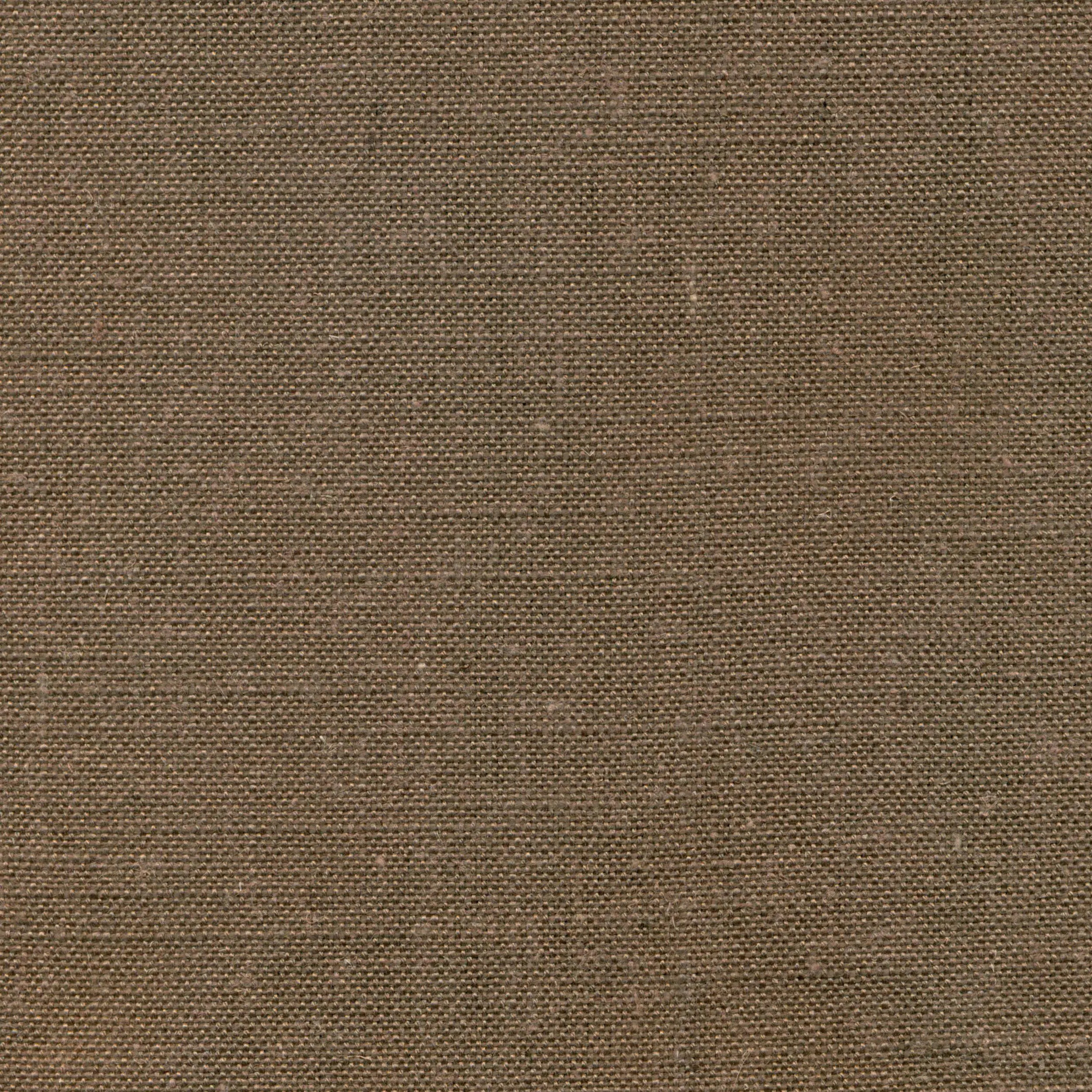 Semolina 109 | Delight