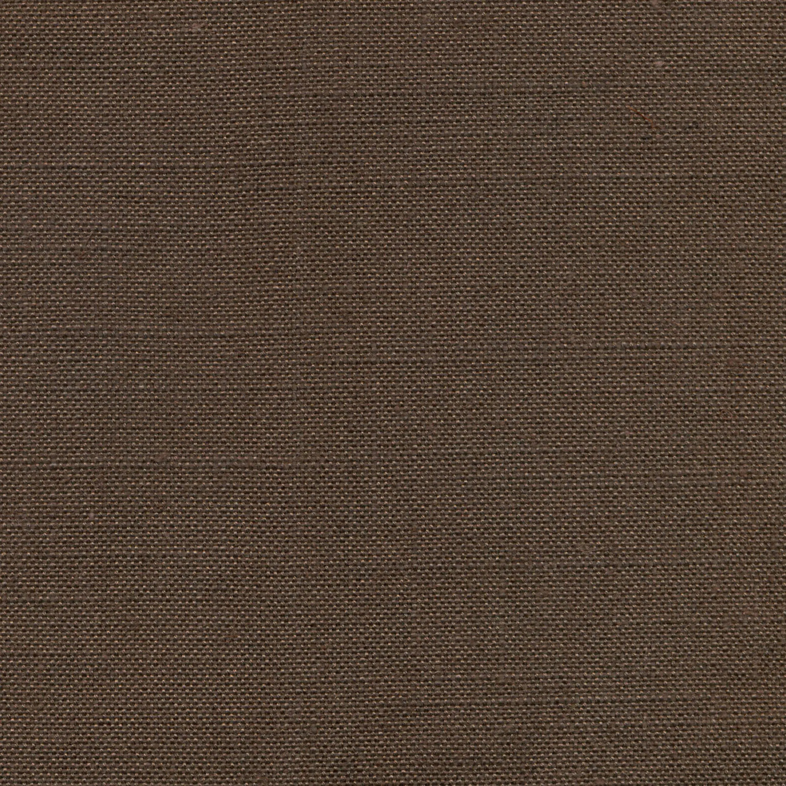 Seal Brown 110 | Delight