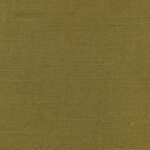 Butternut 360 | Delight
