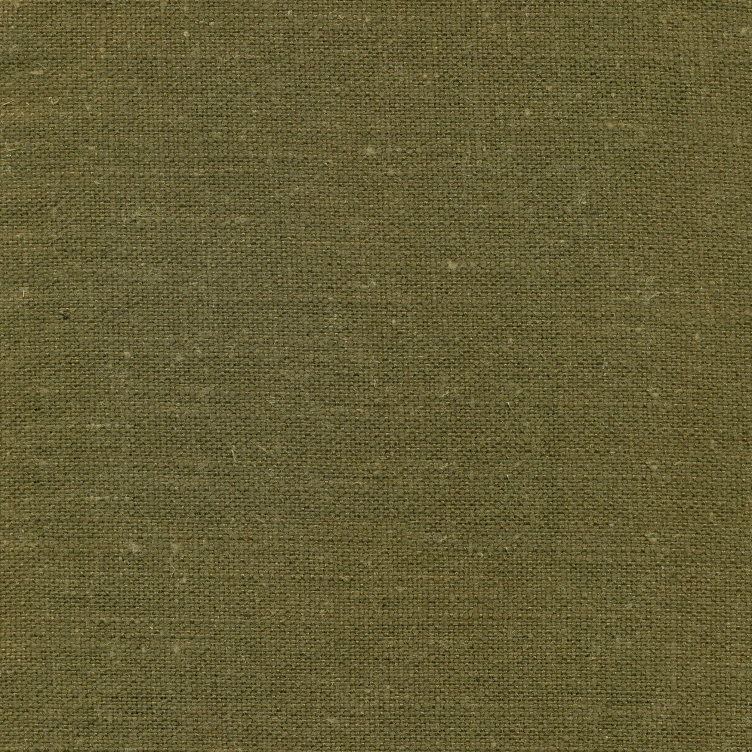 Military Olive 361 | Delight