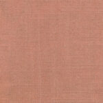 Ash Rose 510 | Delight