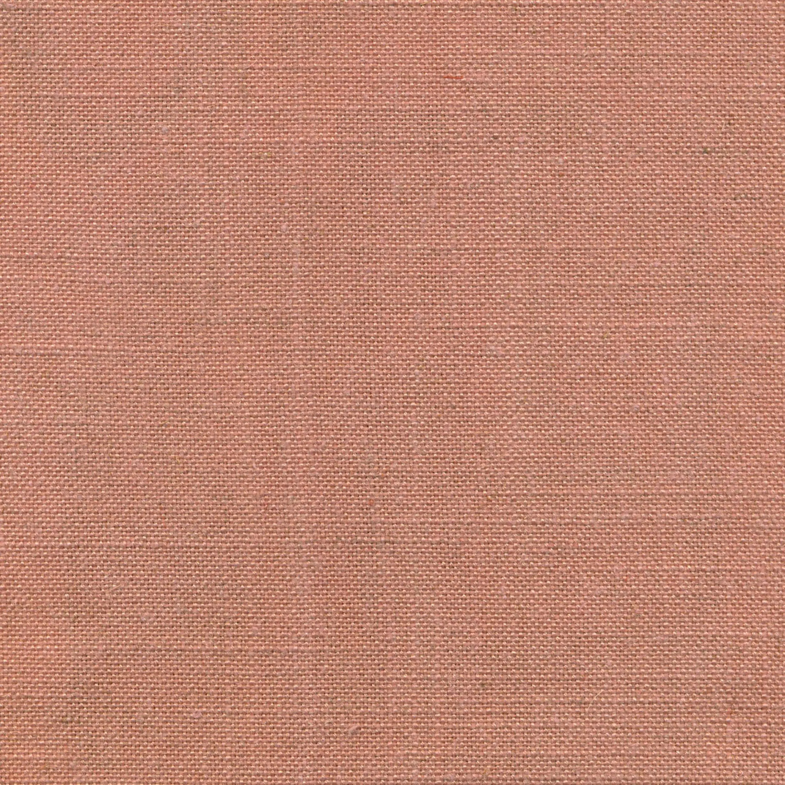 Ash Rose 510 | Delight