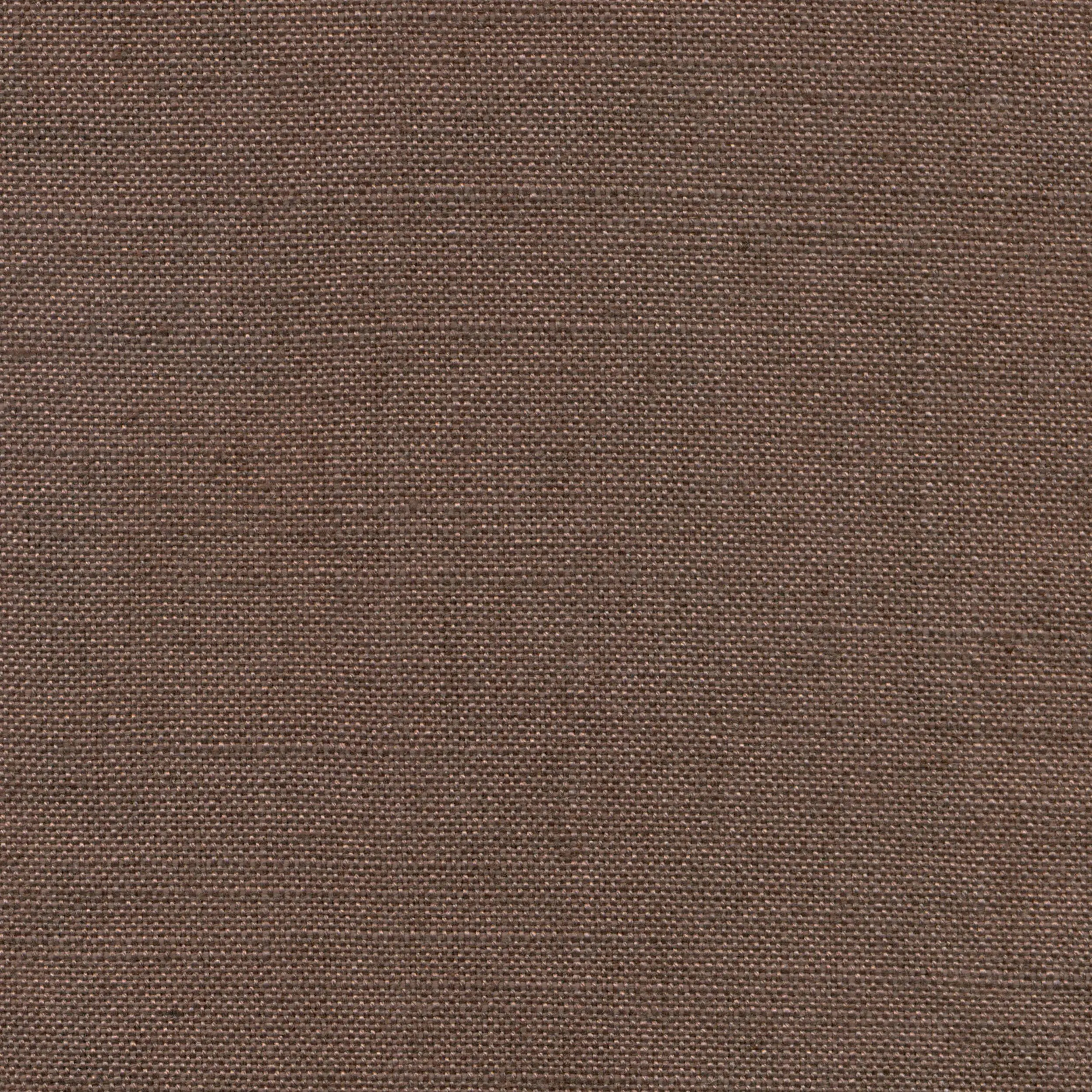 Peppercorn 511 | Delight