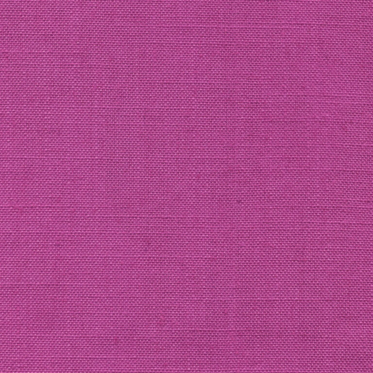Wild Aster 843