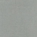 Frost Gray 903 | Delight