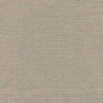 Dove 913 | Delight