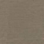 Driftwood 914 | Delight