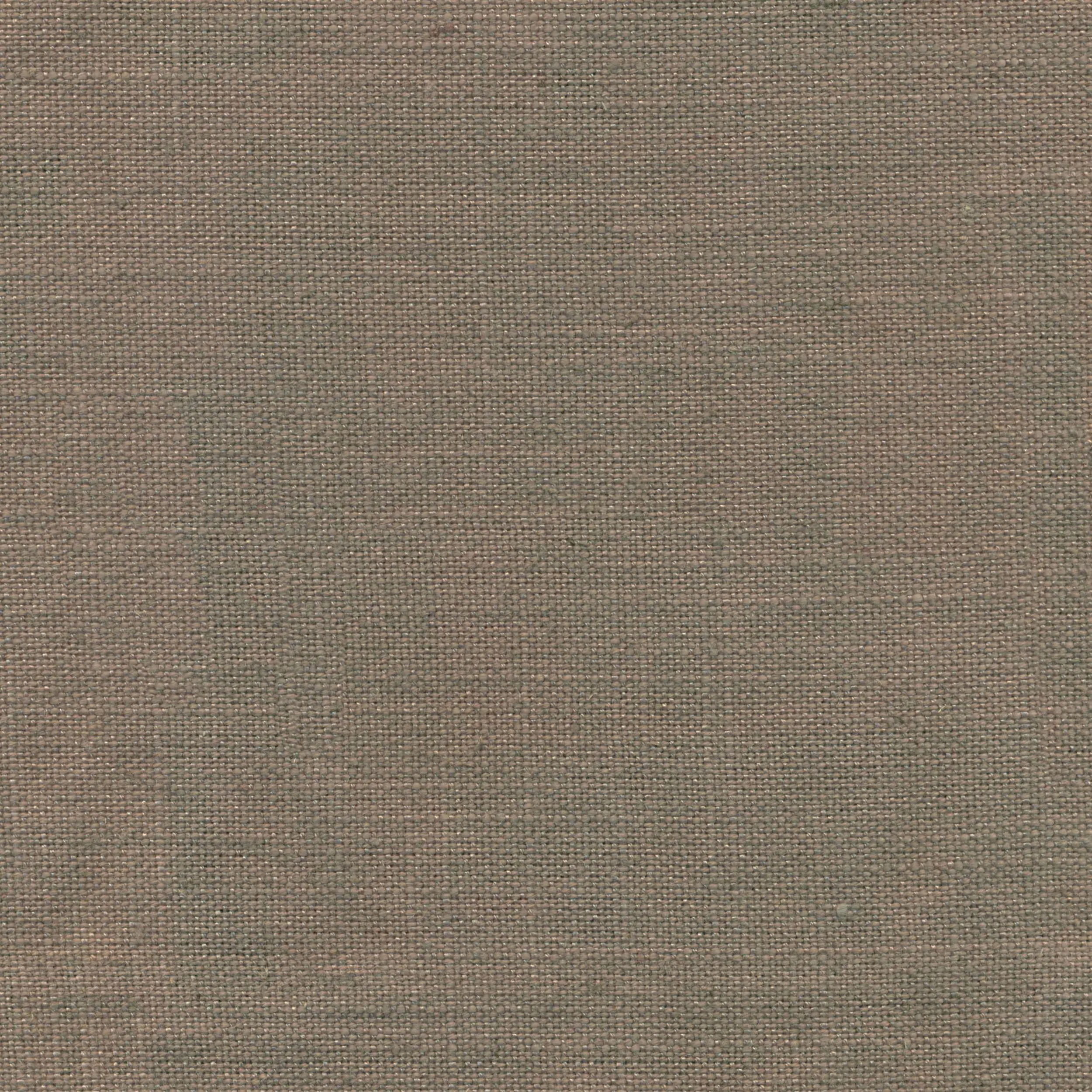 Driftwood 914 | Delight
