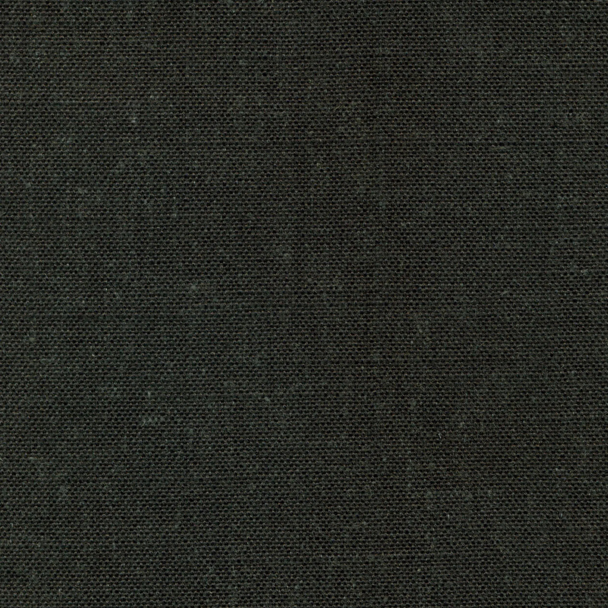 Jet Black 999 | Delight