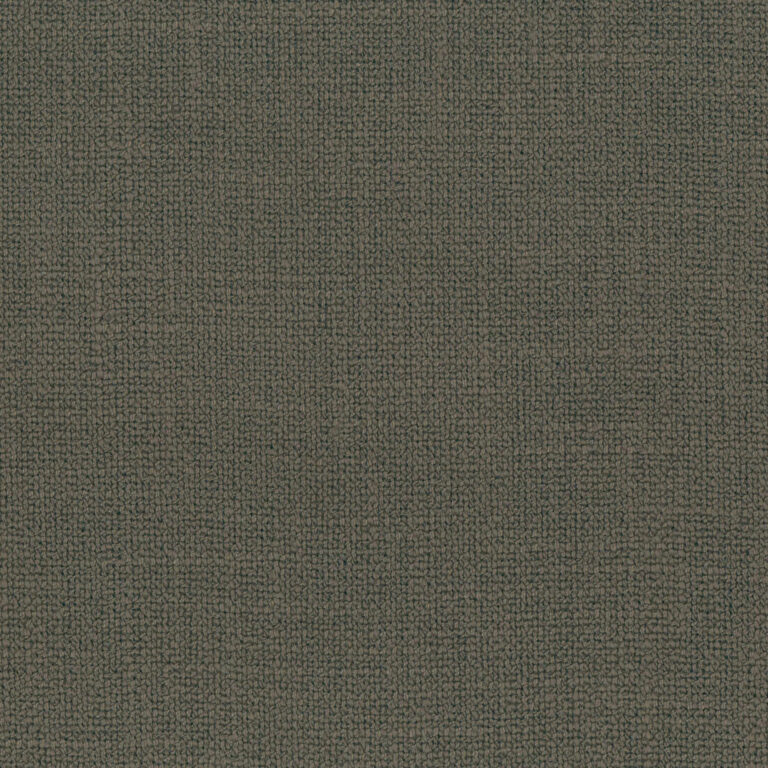 Black Olive 15