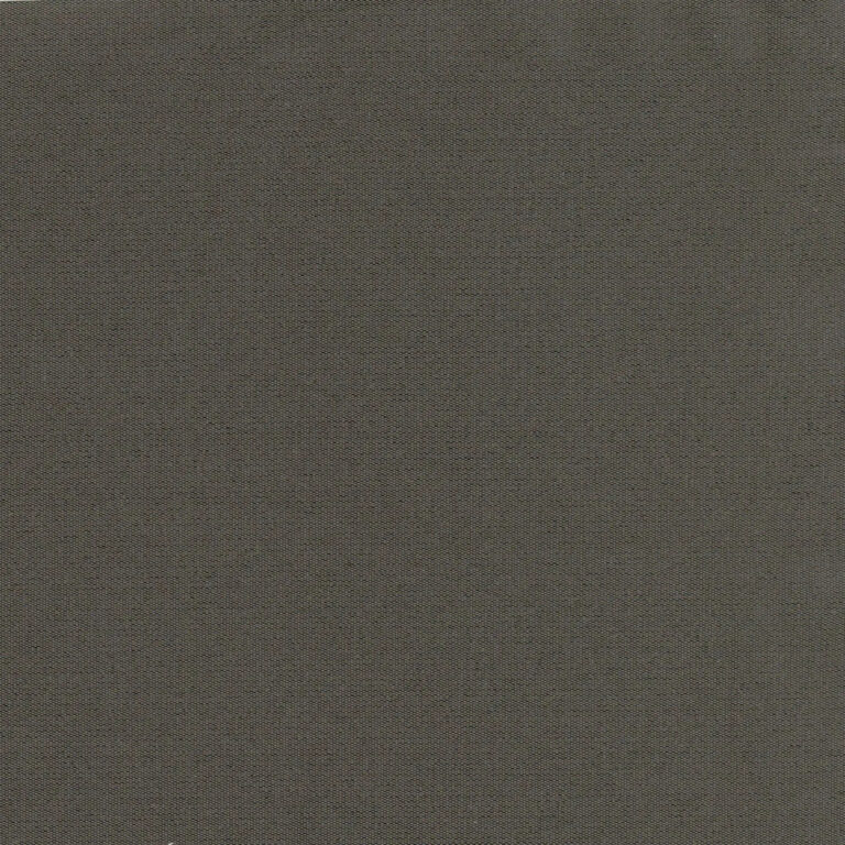 Chinchilla 3