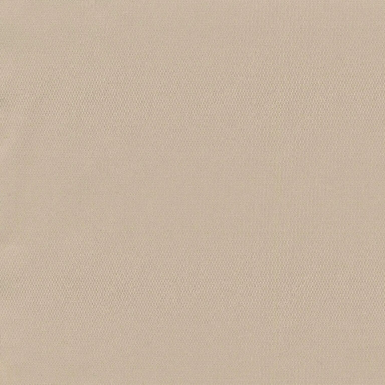 Almond 19
