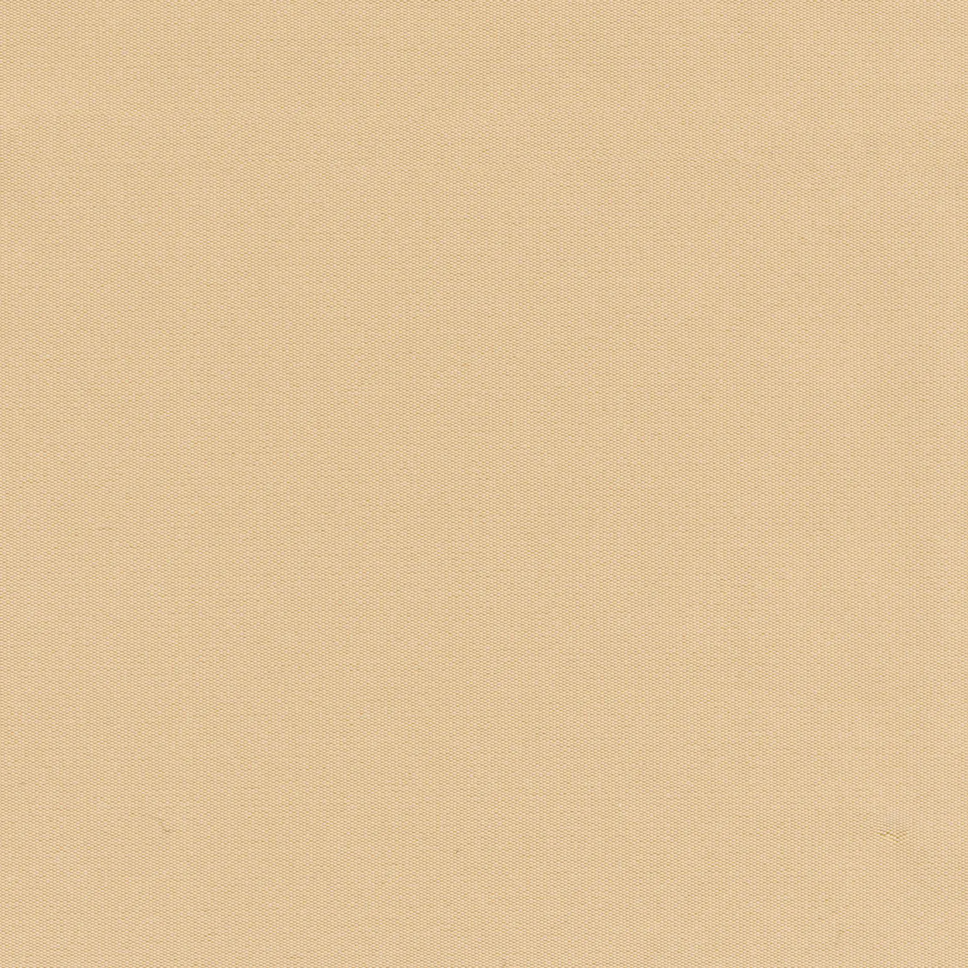 Butternut 21 | Despina