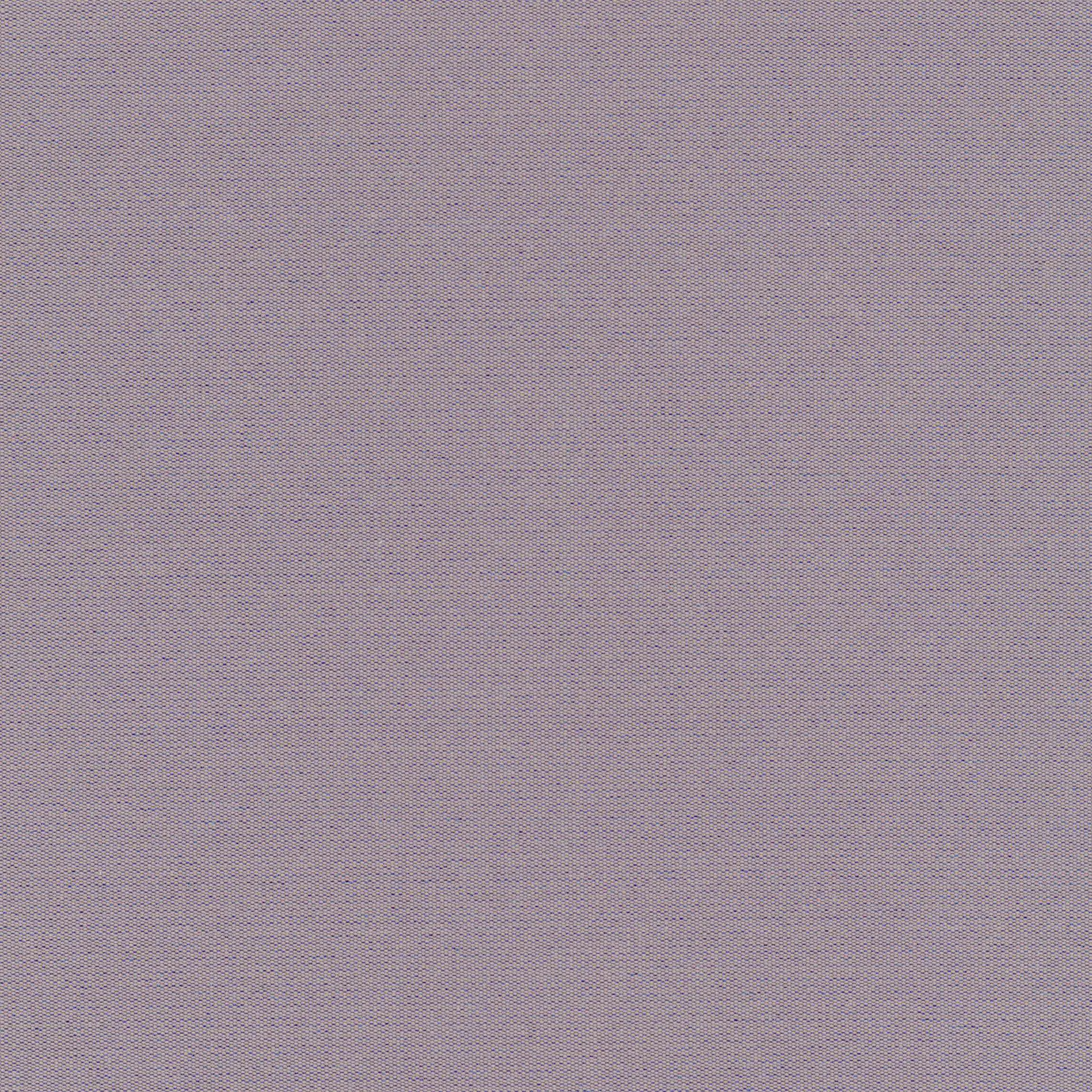Lilac 30 | Despina