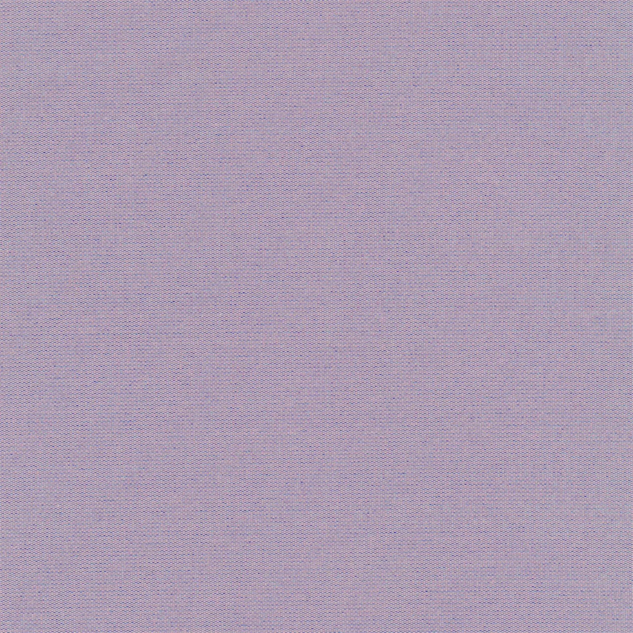 Crocus 32 | Despina