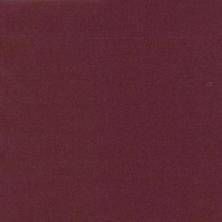 Fuchsia 33