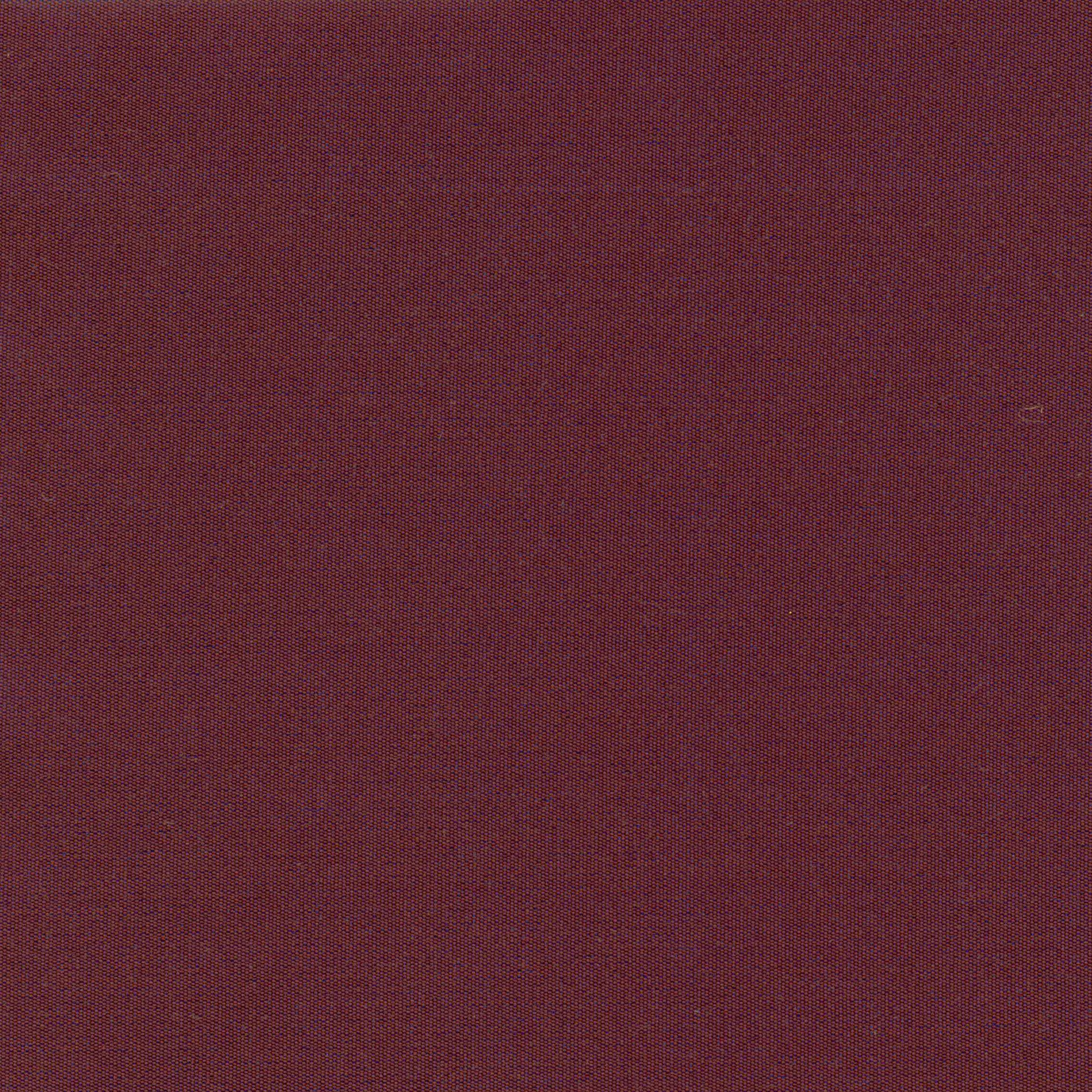 Fuchsia 33 | Despina