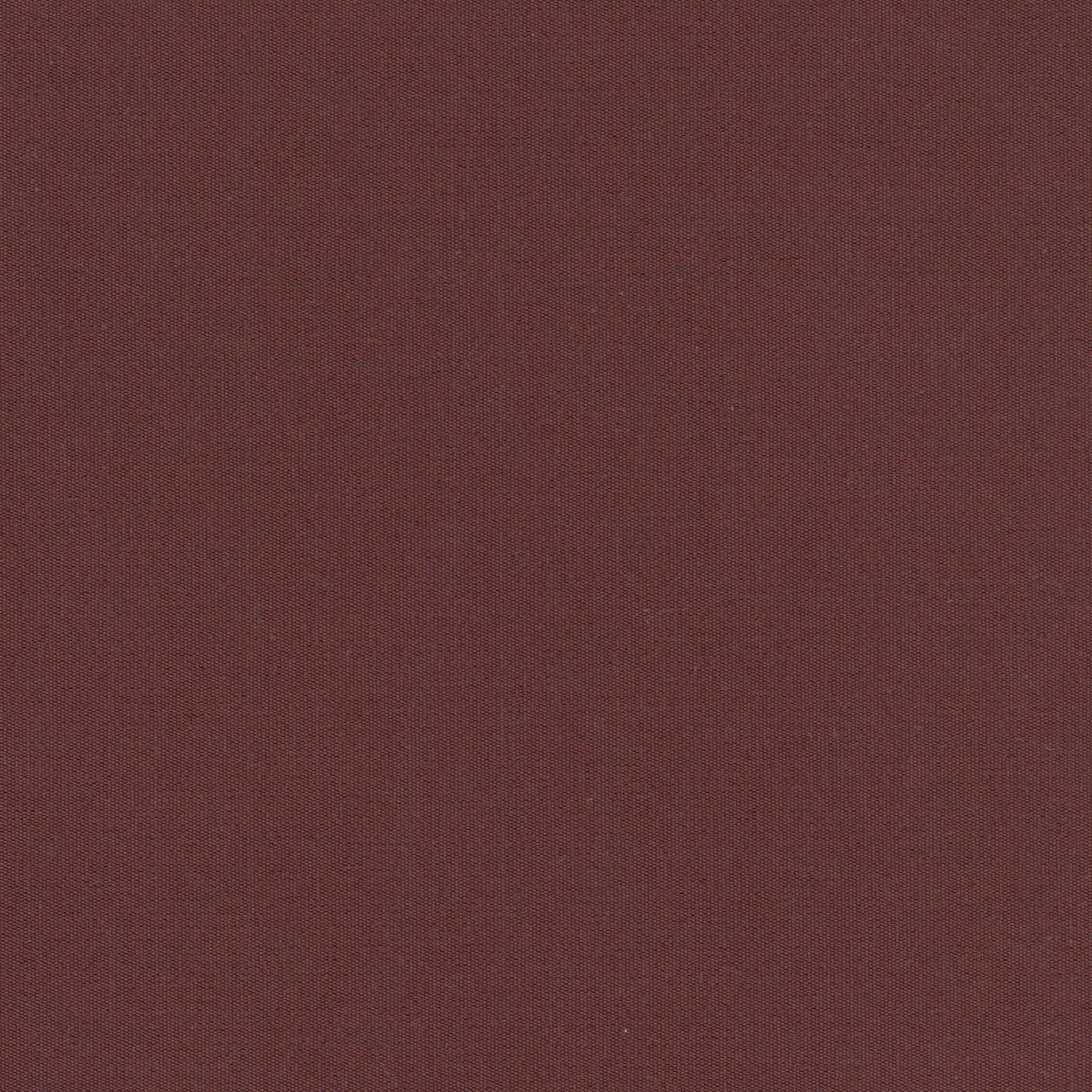 Eggplant 34 | Despina