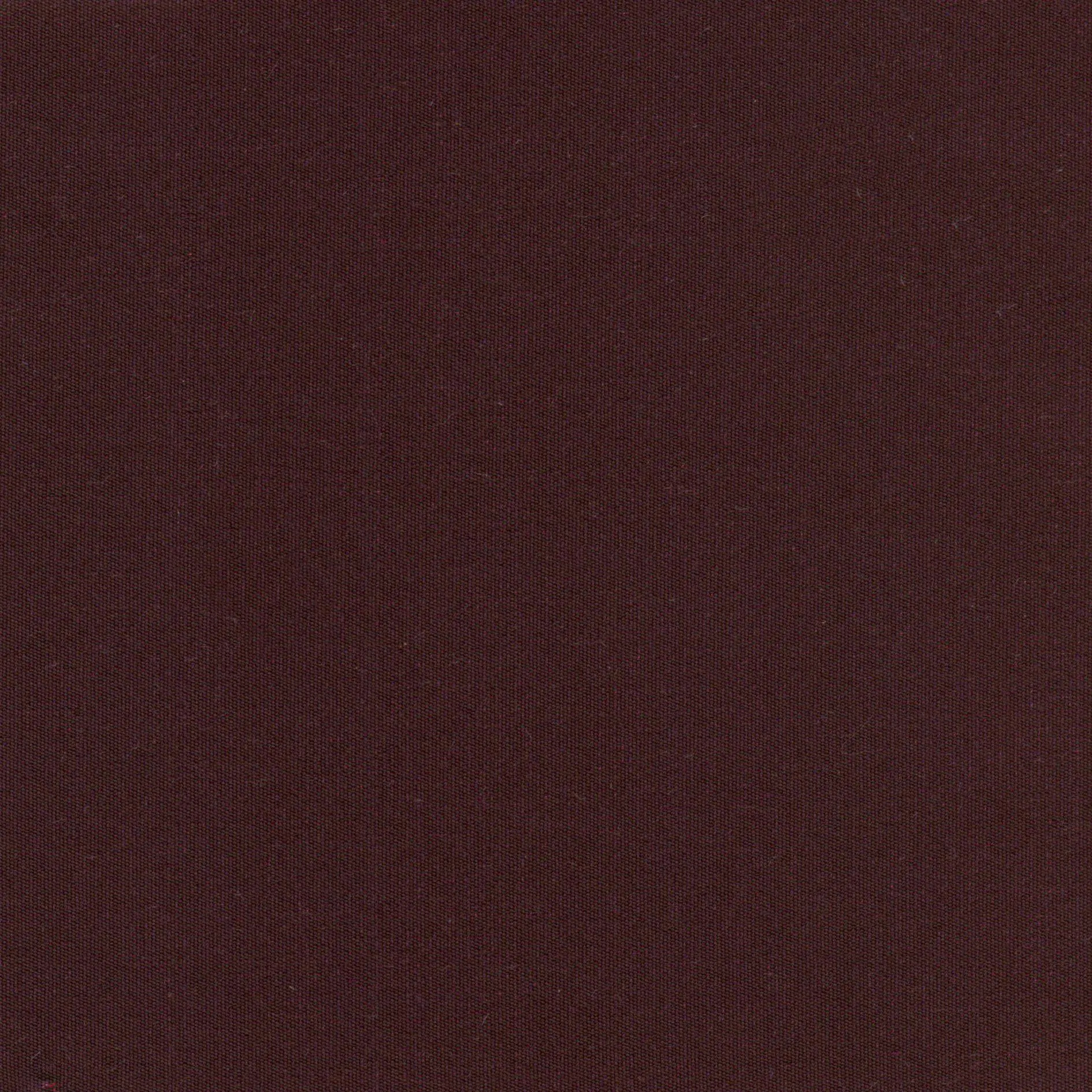 Bordeaux 35 | Despina