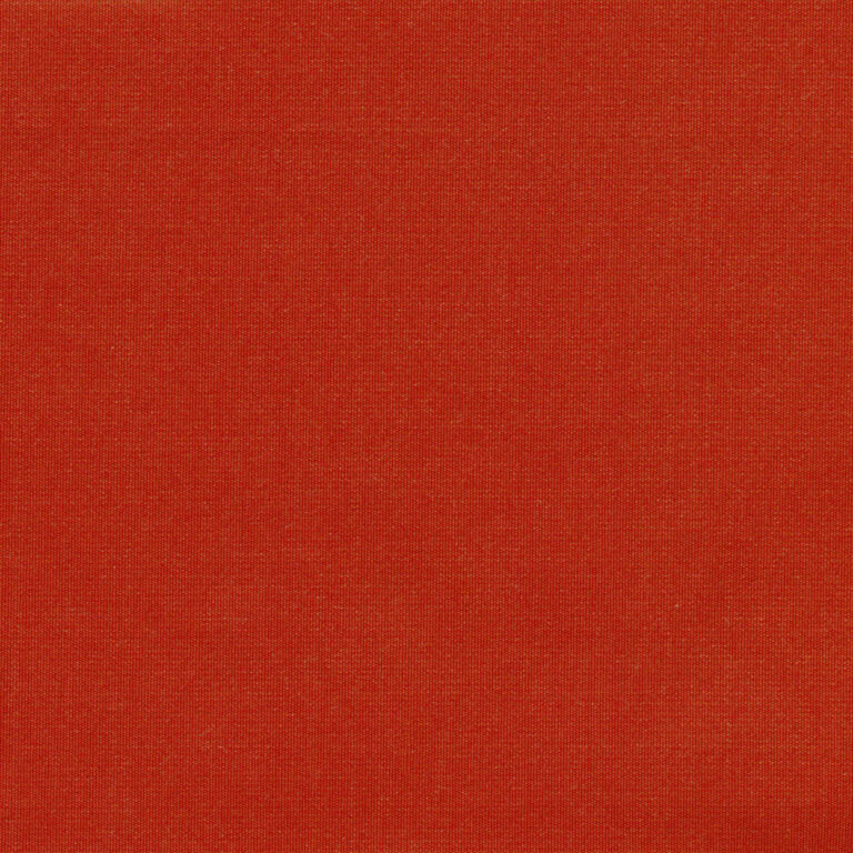 Tangerine 39