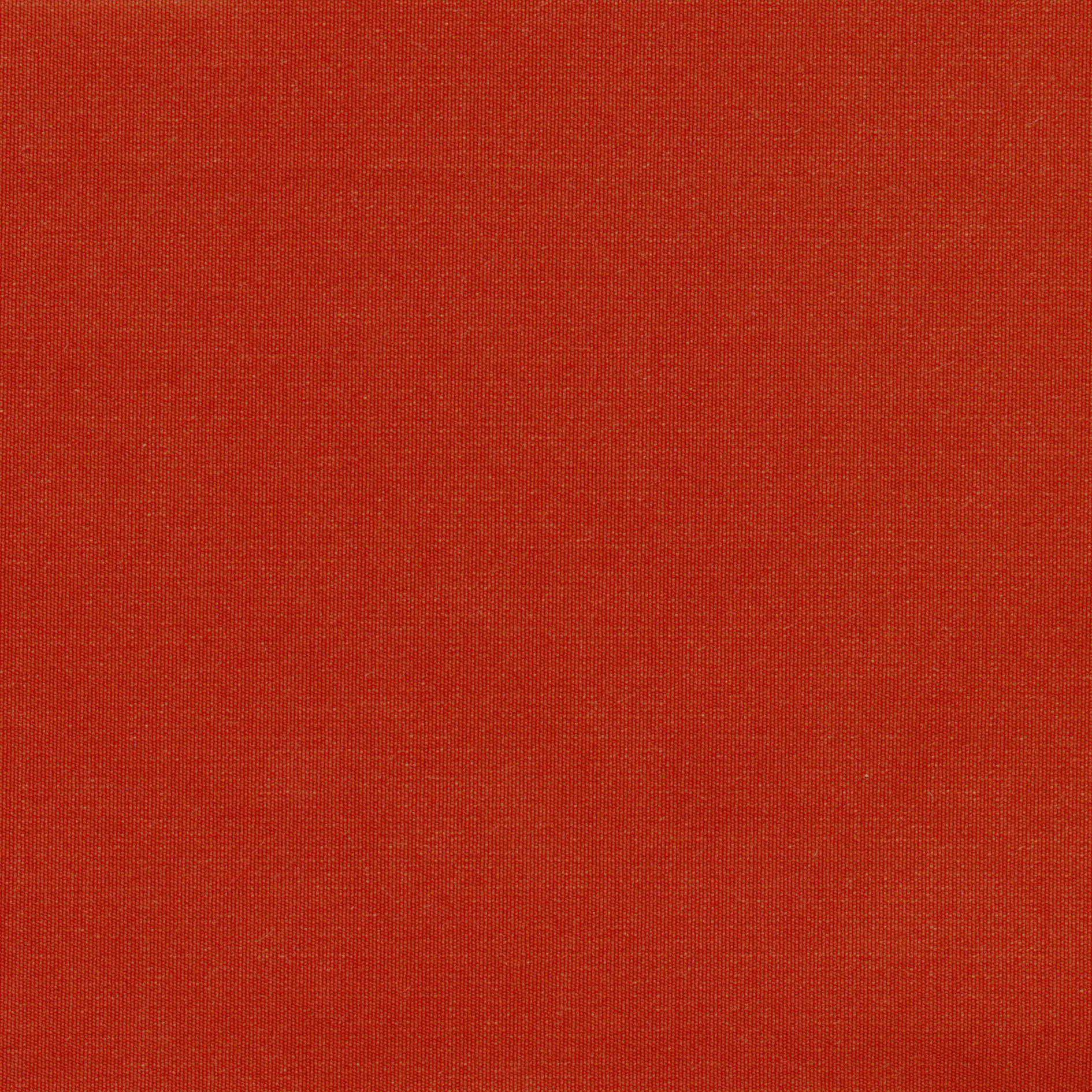 Tangerine 39 | Despina