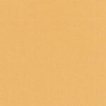 Camel 43 | Despina