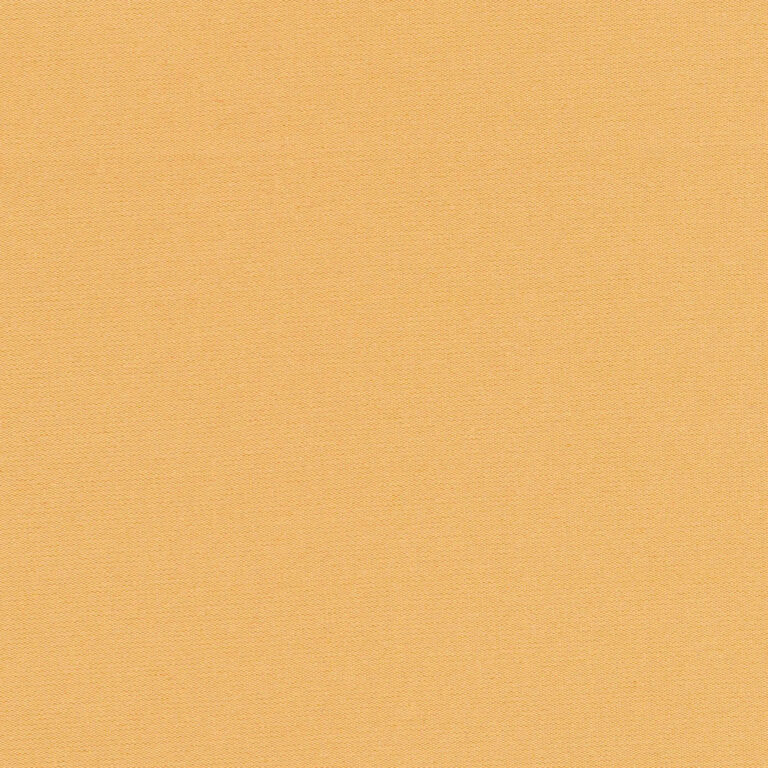 Camel 43