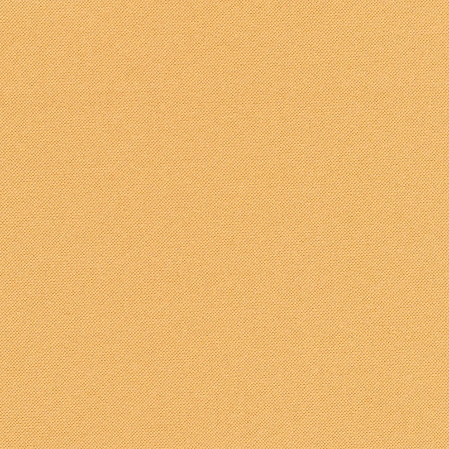 Camel 43 | Despina