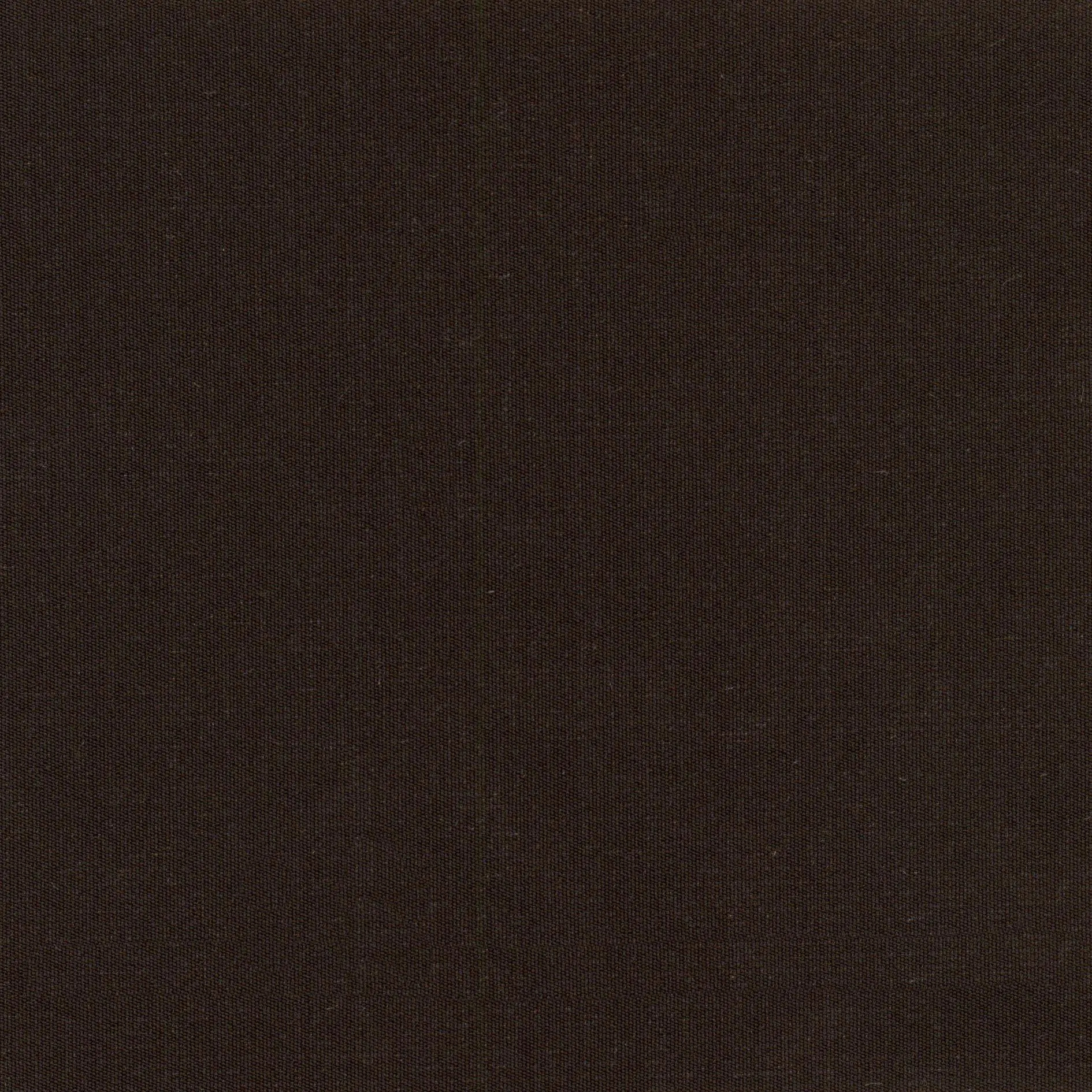 Chocolate 54 | Despina