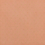Rose | Dotti