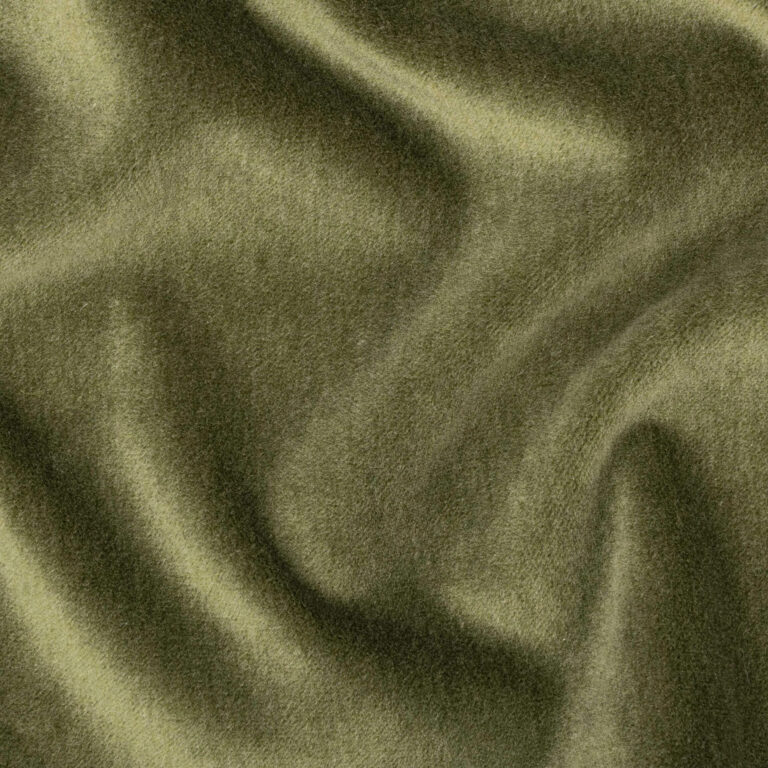 Basil 509
