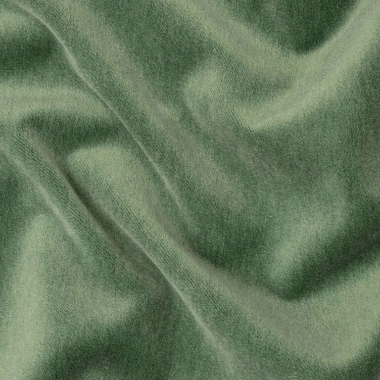 Fern 521